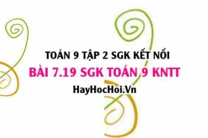 Bài 7.19 SGK Toán 9 tập 2 Kết nối tri thức